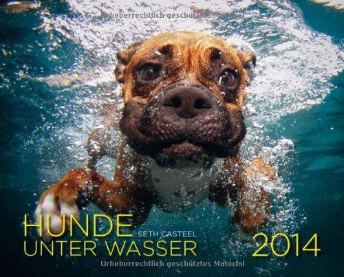 Hunde unter Wasser 2014: Wandkalender