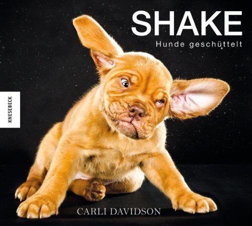 Shake Hunde geschüttelt